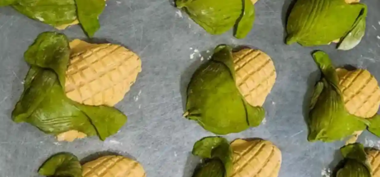 ¿Antojo? qué tal una conchaelote ¿Antojo? qué tal una conchaelote