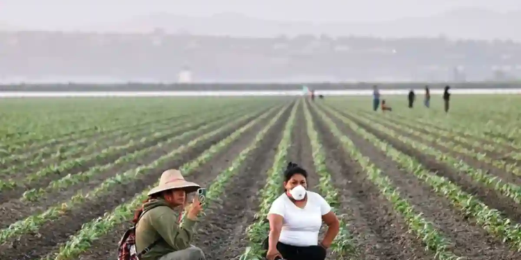 Inician campesinos huelga de 72 horas en California Inician campesinos huelga de 72 horas en California