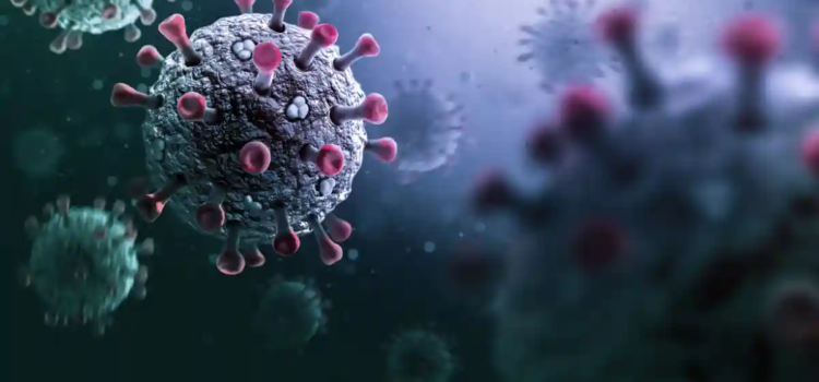 Emite la OMS alerta por virus Stratus