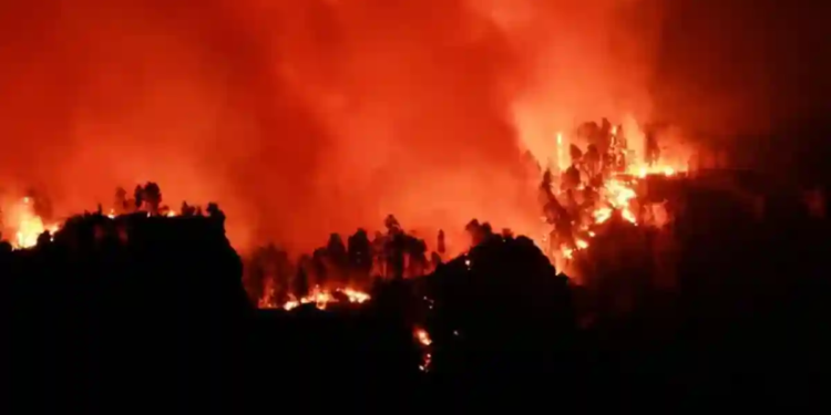 Crisis climática, “una amenaza urgente y existencial”: CIJ Crisis climática, “una amenaza urgente y existencial”: CIJ
