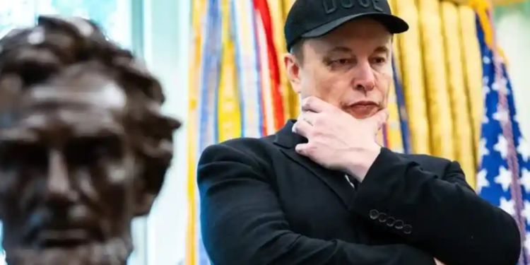 Lanza Musk su propio partido
