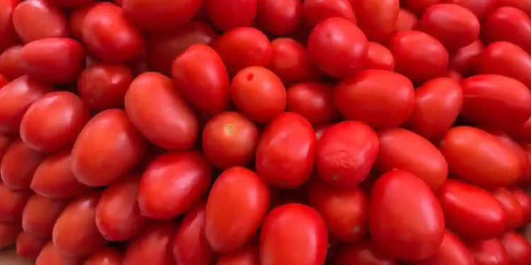 Impone Estados Unidos aranceles del 17 % al tomate mexicano