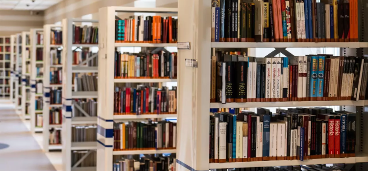 Por inseguridad y abandono, cierran 26 bibliotecas en Zacatecas