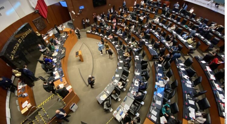 Denuncian en el Senado extorsiones en la venta de materiales de construcción