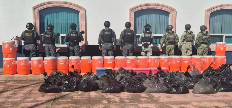 Aseguran 1.7 toneladas de metanfetaminas en la sierra de Zacatecas Aseguran 1.7 toneladas de metanfetaminas en la sierra de Zacatecas