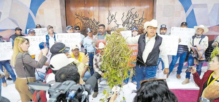 Productores de frijol en Zacatecas exigen precio justo y apertura de centros de acopio