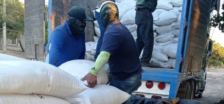 Hasta el momento solo operan 30 centros de acopio de frijol en Zacatecas