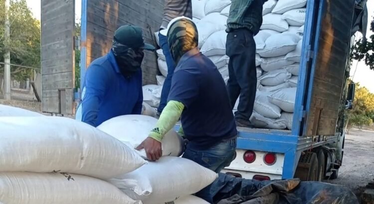 Hasta el momento solo operan 30 centros de acopio de frijol en Zacatecas