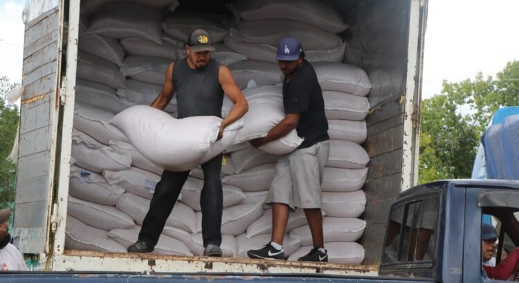 Al 60 por ciento trabajan los centros de acopio de frijol en Zacatecas