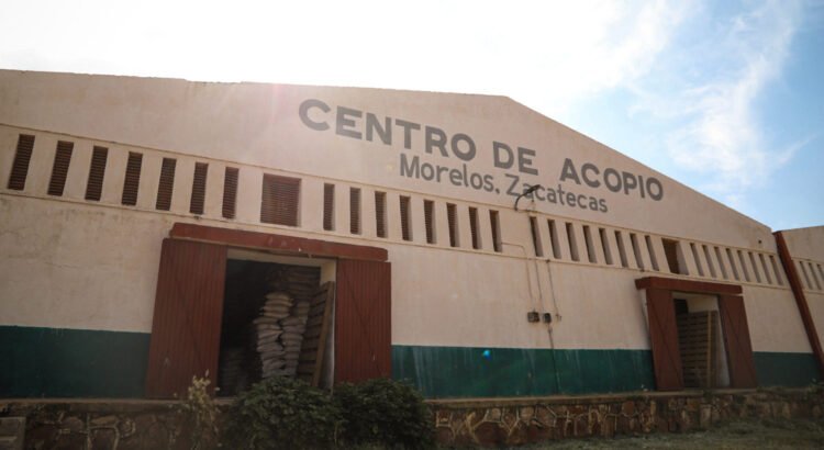 Productores de Fresnillo exigen abrir centros de acopio de frijol Productores de Fresnillo exigen abrir centros de acopio de frijol