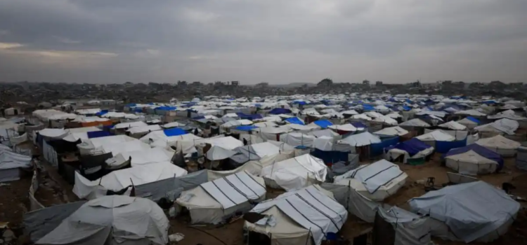 Prohíbe Israel el acceso de 14 ONG a Gaza Prohíbe Israel el acceso de 14 ONG a Gaza