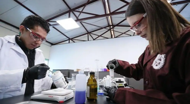 Estudiantes mexicanos desarrollan plástico capaz de diluirse en el agua y ayudar a purificarla Estudiantes mexicanos desarrollan plástico capaz de diluirse en el agua y ayudar a purificarla