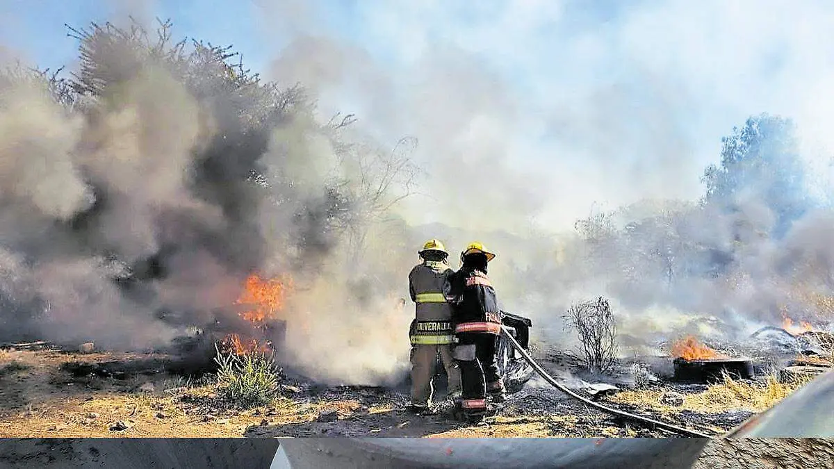 Incendios forestales devastan más de 5 mil hectáreas en el estado