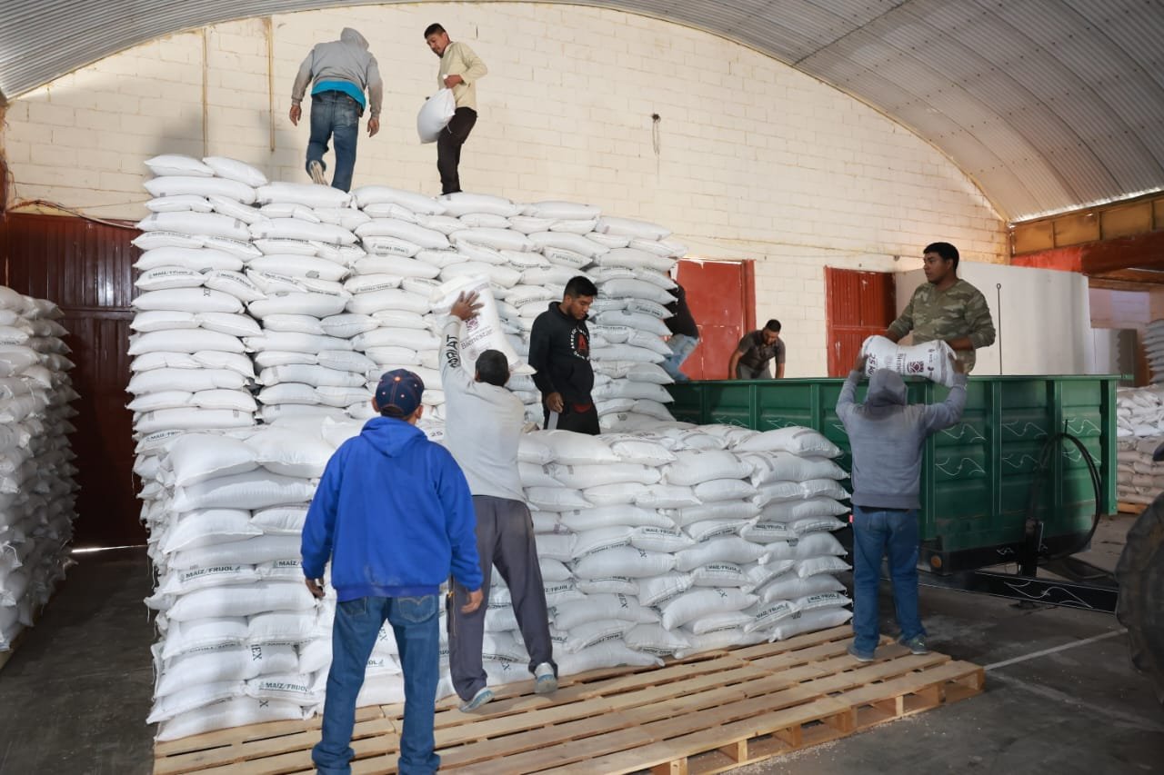 Productores exigen precio justo para el frijol