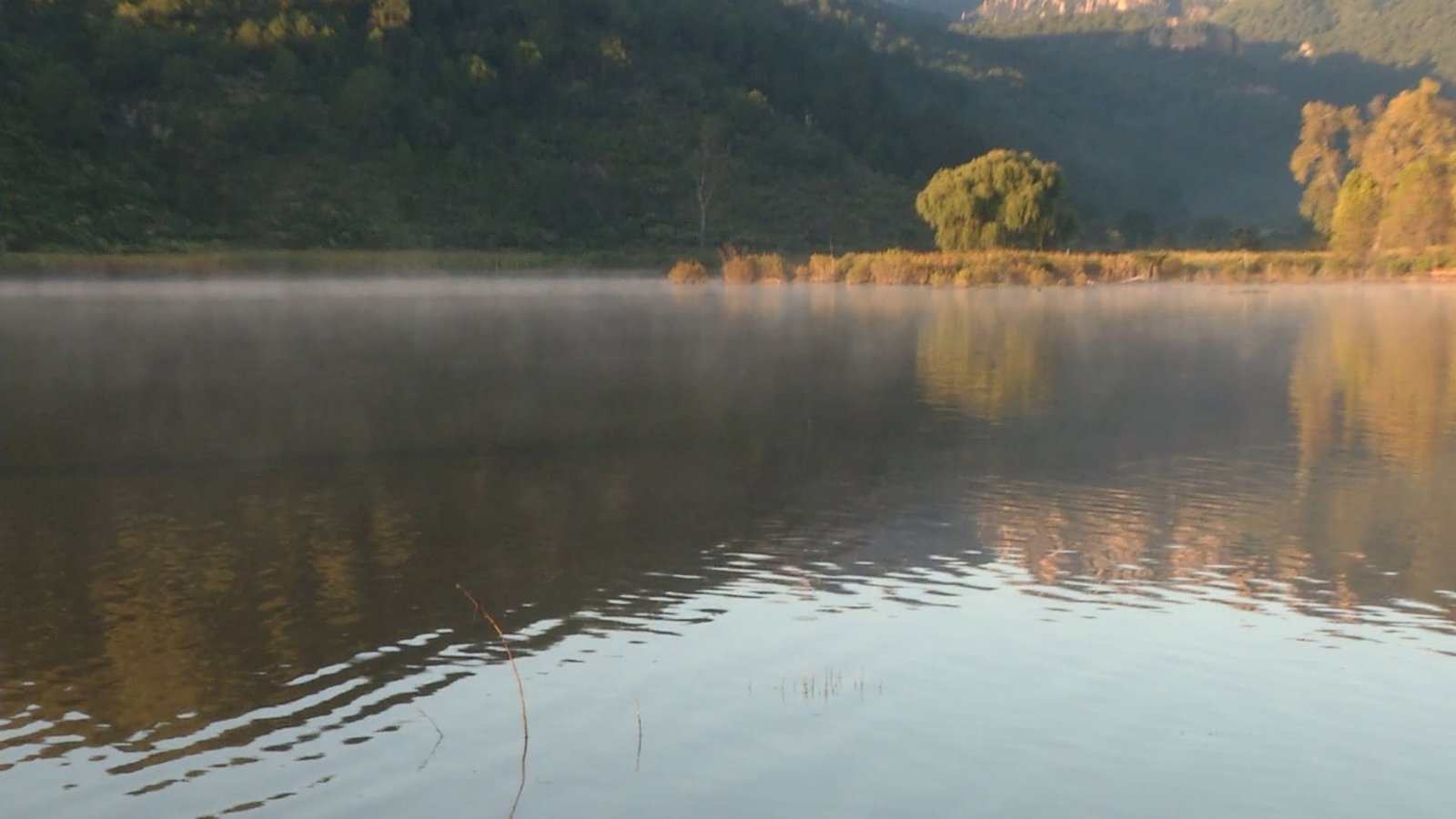 Lluvias saturan presas en Jerez; dos ya están al máximo y otra permanece bajo vigilancia por fisura