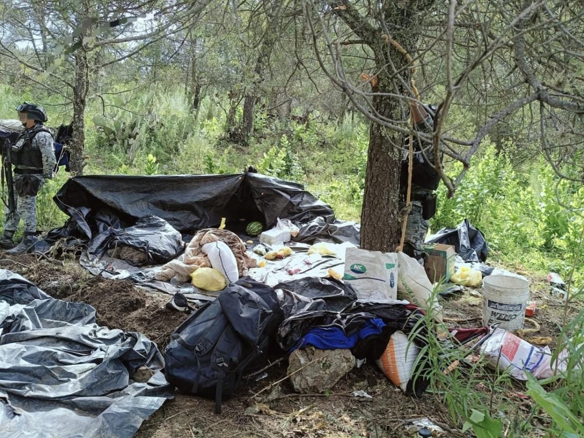 Golpe a la delincuencia: destruyen campamento en Chalchihuites