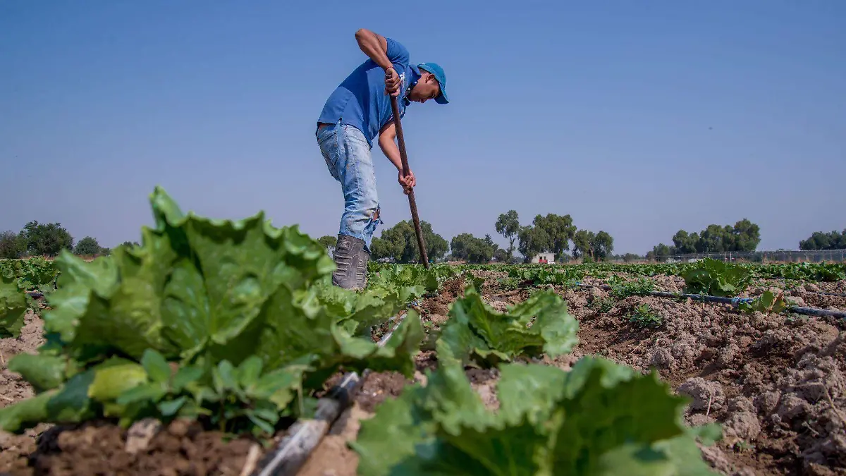 Zacatecas mantiene la esperanza de buenas lluvias